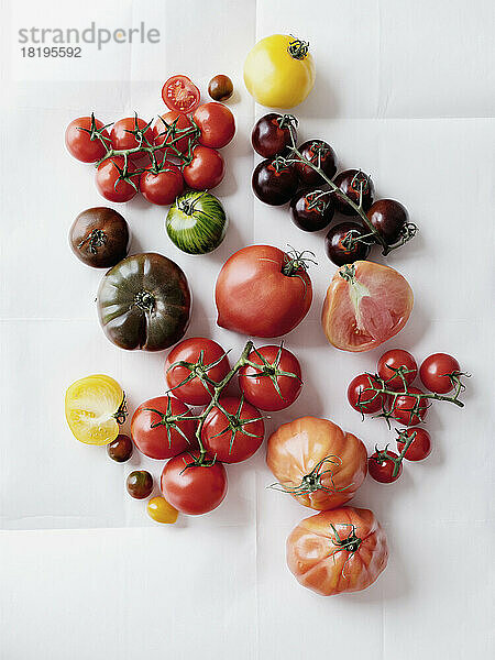 Stilleben Vielfalt Tomaten auf weißem Hintergrund
