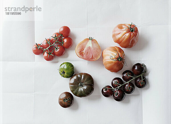 Stilleben Vielfalt von Tomaten auf weißem Hintergrund