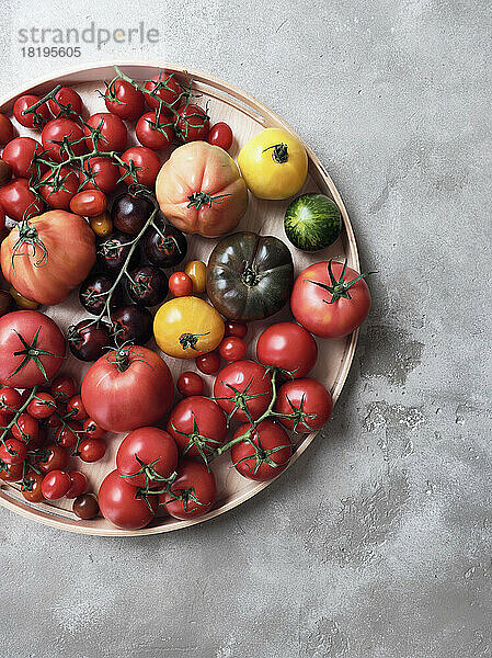 Stilleben einer Vielzahl frischer Tomaten auf einem Tablett
