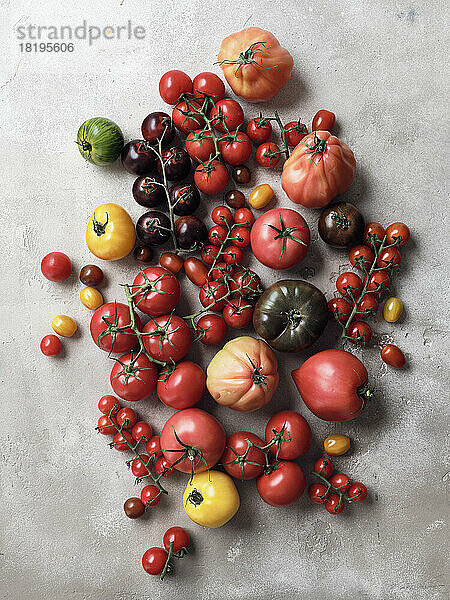 Stilleben Vielfalt Tomaten auf grauem Hintergrund