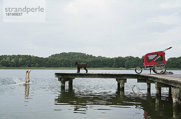 Hund beobachtet Mädchen  das vom Steg in den See springt