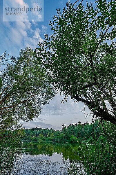 See im wilden Abendwald  keine Sonne im Bild