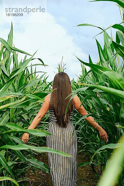 Rückansicht einer Frau im Sommerkleid  die durch ein Maisfeld läuft