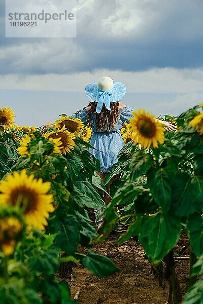 Unbekannte Frau  die durch ein Sonnenblumenfeld läuft und die Hände zur Seite streckt. Junge Frau in blauem Kleid zeigt freudige Gefühle