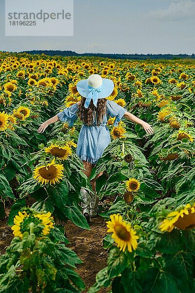 Unbekannte Frau  die durch ein Sonnenblumenfeld läuft und die Hände zur Seite streckt. Junge Frau in blauem Kleid zeigt freudige Gefühle