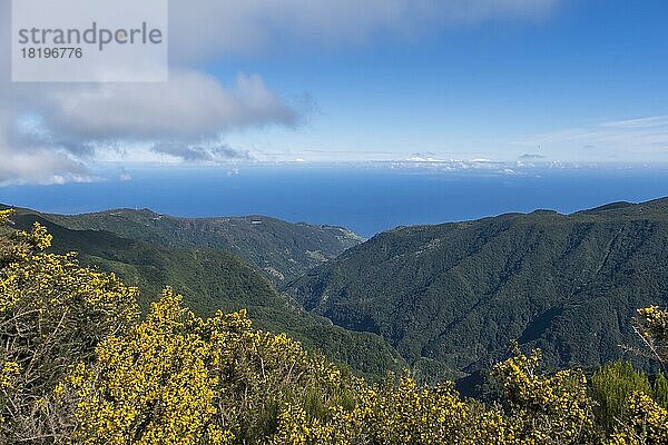 Ausblick vom Miradouro do Rabacal  Hochebene Paul da Serra  Madeira  Portugal  Europa