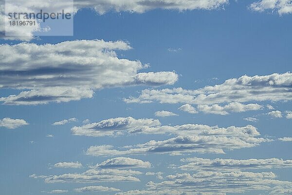 Weiße Wolken schweben vor dem blauen Himmel im Hintergrund. Sambia