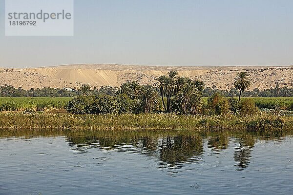 Landschaft am Nil  Nilufer  Ägypten  Afrika
