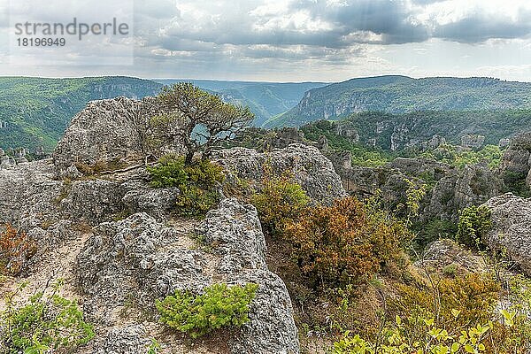 Die Stadt Steine im Regionalen Naturpark Grands Causses  ein denkmalgeschütztes Naturgebiet mit den Dourbie-Schluchten im unteren Teil. Aveyron  Cevennen  Frankreich  Europa