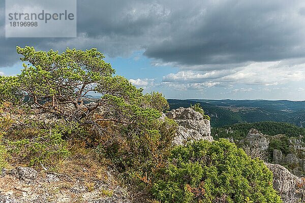 Die Stadt Steine im Regionalen Naturpark Grands Causses  ein denkmalgeschütztes Naturgebiet mit den Dourbie-Schluchten im unteren Teil. Aveyron  Cevennen  Frankreich  Europa