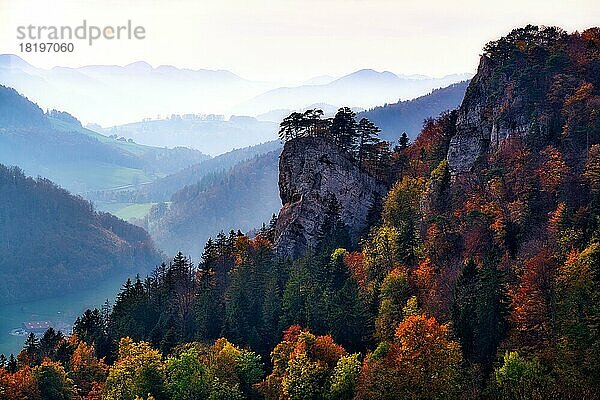 Markanter Felsen Ankenballen ragt aus dem Herbstwald  Gegenlichtaufnahme mit Dunst in den Tälern  Baselbieter Jura  Kanton Basel-Landschaft  Schweiz  Europa