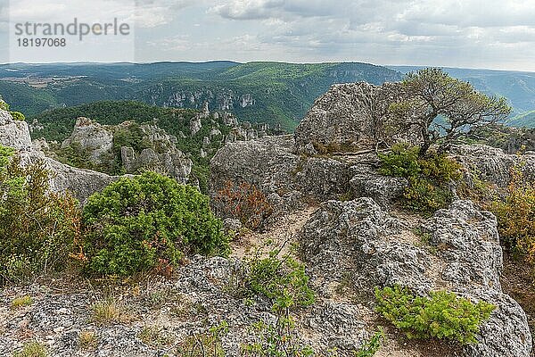 Die Stadt Steine im Regionalen Naturpark Grands Causses  ein denkmalgeschütztes Naturgebiet mit den Dourbie-Schluchten im unteren Teil. Aveyron  Cevennen  Frankreich  Europa