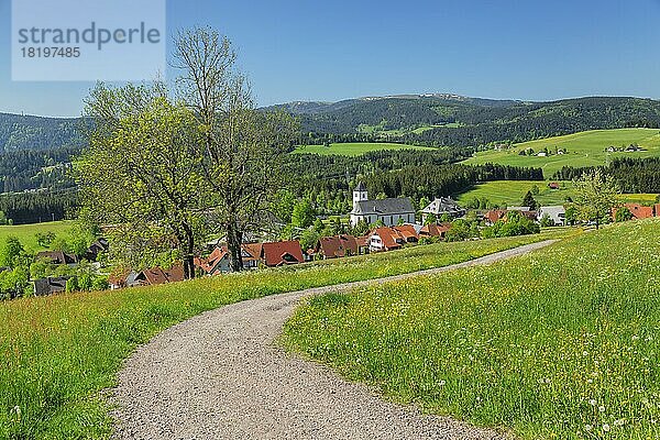 Blick über Breitnau zum Feldberg im Frühling  Schwarzwald  Baden. -Württemberg  Deutschland  Breitnau  Schwarzwald  Baden-Württemberg  Deutschland  Europa