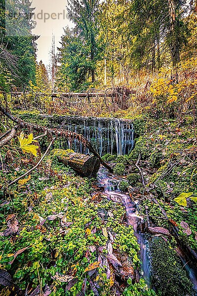 Langzeitbelichtung von einem kleinen Bach mit kleinem Wasserfall im Schönjungferngrund im Erzgebirge unterhalb vom Fichtelberg  Oberwiesenthal  Sachsen  Deutschland  Europa