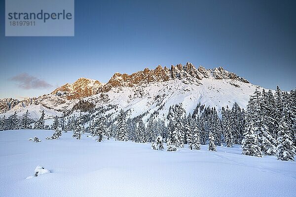 Mandlwand und Hochkönig im Winter  tiefverschneite Winterlandschaft  Mühlbach  Pongau  Salzburg  Österreich  Europa