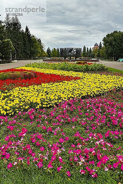 Blumenrüben im Veteranenpark  Barnaul  Altai-Region  Russland  Europa