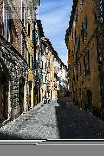 Unesco-Welterbe historische Stadt Siena  Italien  Europa