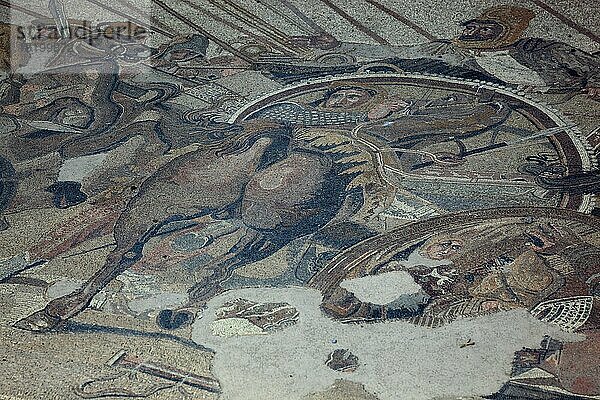 Mosaikboden in einer Therme  Pompeji  Kampanien  Italien  Europa