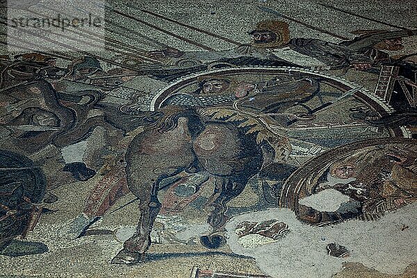 Mosaikboden in einer Therme  Pompeji  Kampanien  Italien  Europa