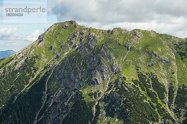 Entschenkopf (2043m)  Allgäuer Alpen  Allgäu  Bayern  Deutschland  Europa