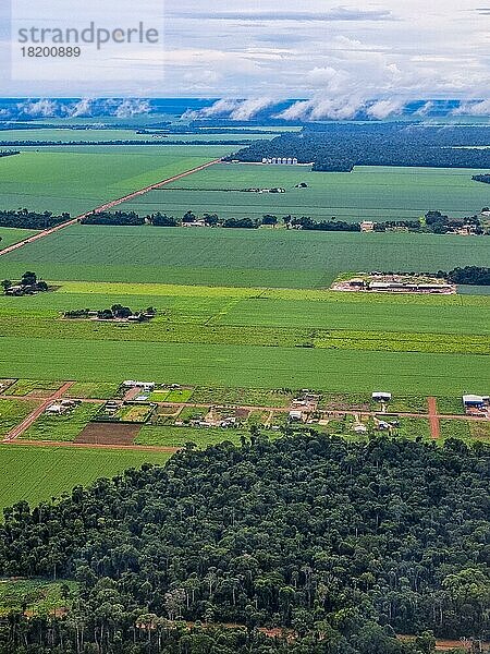 Luftaufnahme der riesigen Sojafelder um Sinop  Mato Grosso  Brasilien  Südamerika