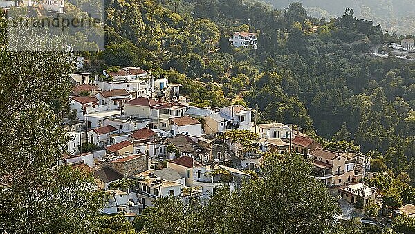 Dorf  Blick von oben  Wald  Argyroupolis  Lappa  Regionalbezirk Rethymnon  Zentralkreta  Insel Kreta  Griechenland  Europa