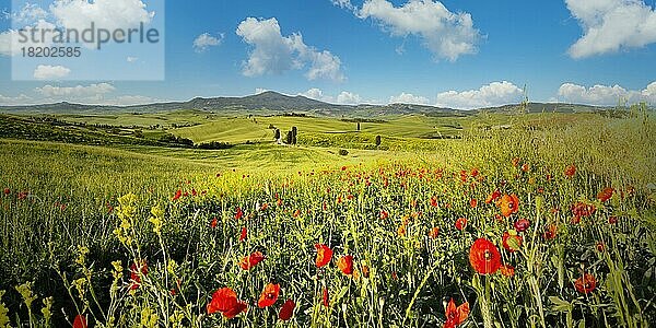 Landschaft bei Sonnenaufgang um Pienza  Val dOrcia  Orcia-Tal  UNESCO-Weltkulturerbe  Provinz Siena  Toskana  Italien  Europa