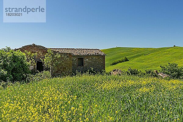 Verlassener Bauernhof  Landschaft um Pienza  Val dOrcia  Orcia-Tal  UNESCO-Weltkulturerbe  Provinz Siena  Toskana  Italien  Europa