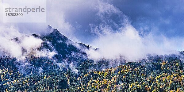 Abziehende Gewitterwolken  Bergwald beim Söllerkopf  1940m  und Söllereck  1706m  Oberallgäu  Bayern  Deutschland  Europa