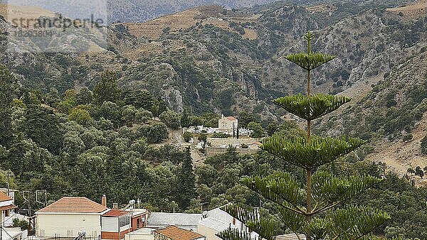 Kapelle und Friedhof außerhalb des Ortes  Wald  Argyroupolis  Lappa  Regionalbezirk Rethymnon  Zentralkreta  Insel Kreta  Griechenland  Europa