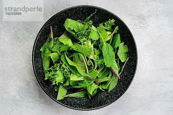 Draufsicht auf einen Teller mit einer Auswahl an frischen Salatblättern
