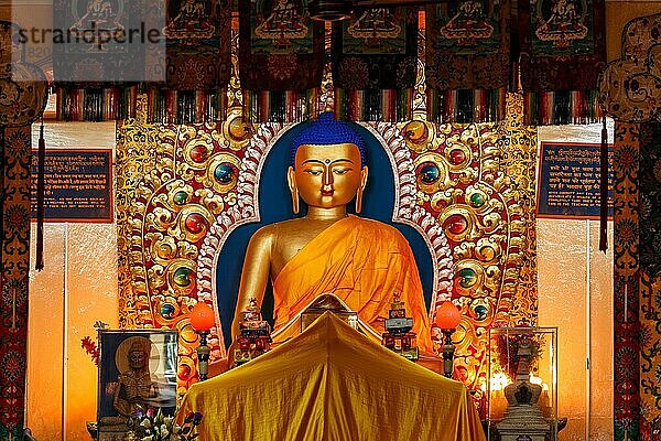 Vergoldete Statue des Sakyamuni Buddha im Tsuglagkhang-Tempel. McLeod Ganj  Himachal Pradesh  McLeodGanj  Indien  Asien