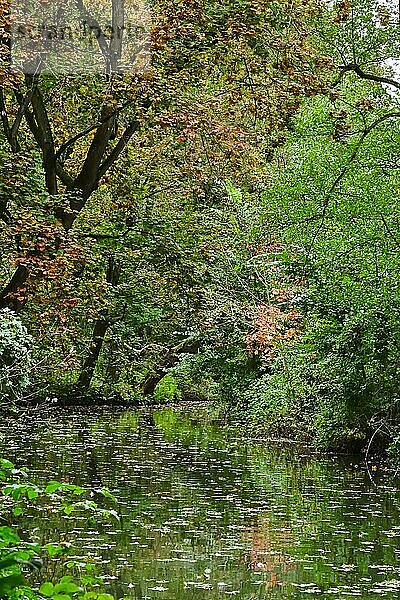Spreewald in der Herbstzeit  Oktober  Brandenburg  Deutschland  Europa