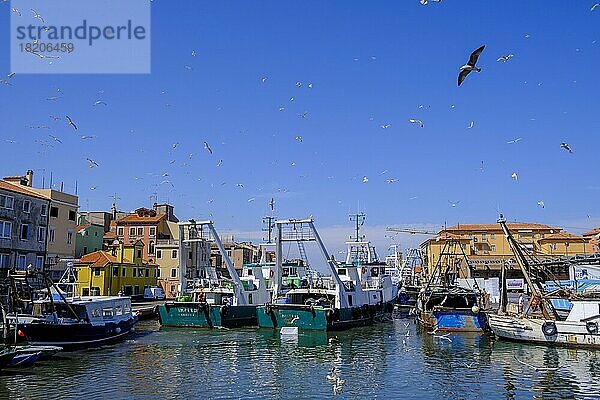 Möwen über einem Fischerboot  Hafen  Chioggia  Venetien  Italien  Europa