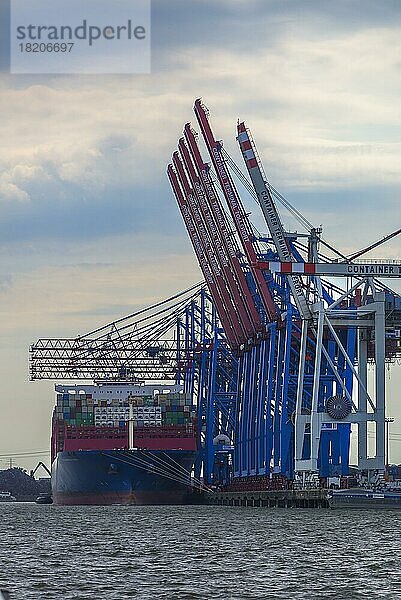 Kraene im Hamburger Hafen entladen ein Containerschiff  Hamburg  Deutschland  Europa