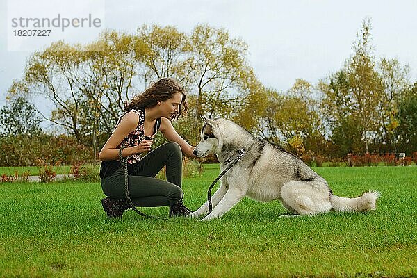 Mädchen spielt mit Husky-Hund im Stadtpark. Ausbildung des Hundes