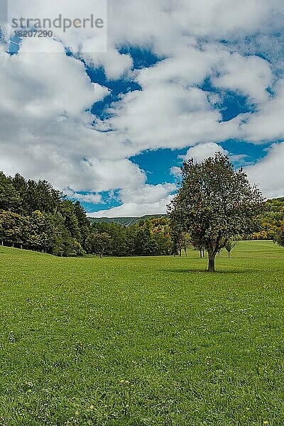 Landschaft mit Bäumen und Wiese  bewölkter Himmel  Niederösterreich  Österreich  Europa