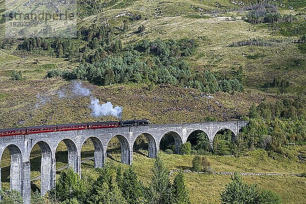 Glenfinnan Viadukt aus den Harry Potter Filmen mit Dampflok  Jacobite Steam Train  Jakobinerexpress  Glenfinnan  Schottland  Großbritannien  Europa
