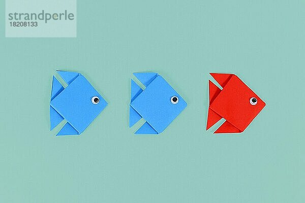 Roter Origami-Papierfisch schwimmt vor einem blauen Fisch. Konzept für Entdeckung und starke Führung