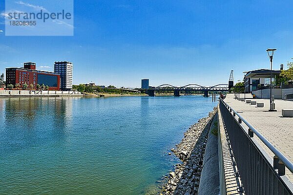 Rheinufer und Promenade  Ludwigshafen  Deutschland  Europa