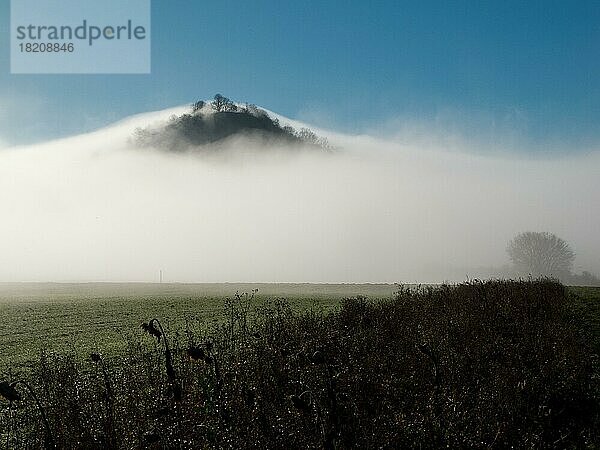 Blick auf den Hohenkarpfen im Nebel  Zeugenberg  Schwäbische Alb  Deutschland  Europa