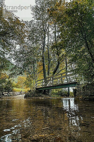 Brücke  in der Natur  über einen Bach  Niederösterreich  Österreich  Europa