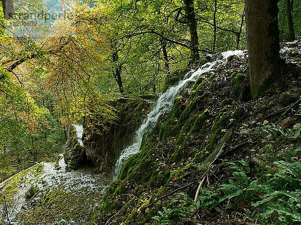 Gütersteiner Wasserfall  Bad Urach  Schwäbische Alb  Baden-Württemberg  Deutschland  Europa