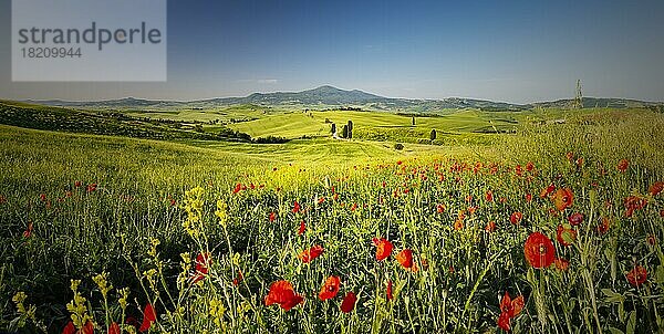 Landschaft bei Sonnenaufgang um Pienza  Val dOrcia  Orcia-Tal  UNESCO-Weltkulturerbe  Provinz Siena  Toskana  Italien  Europa