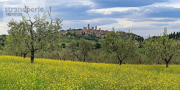 San Gimignano  Toskana  Italien  Europa