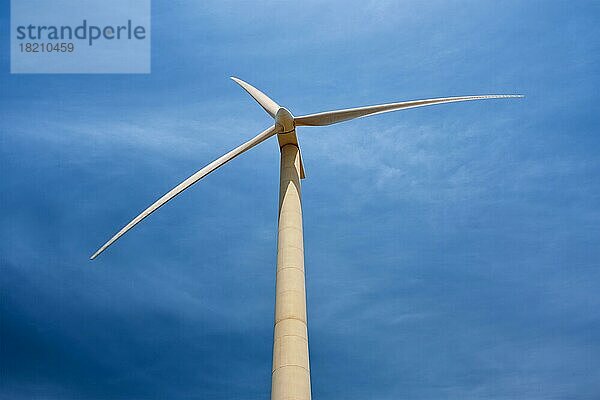 Grünes Konzept für erneuerbare alternative Energien  Windgenerator Turbine erzeugt Strom im blaün Himmel
