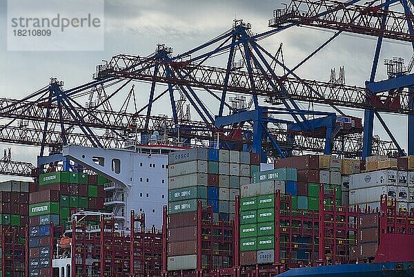 Containerschiff und Entladekräne im Hamburger Hafen  Hamburg  Deutschland  Europa