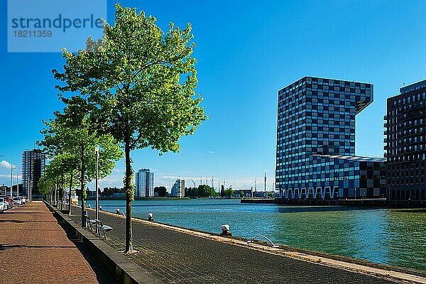 Stadtbild von Rotterdam mit dem Haupthafen Rotterdam Institute und dem Fluss Nieuwe Maas. Rotterdam  Niederlande  Europa