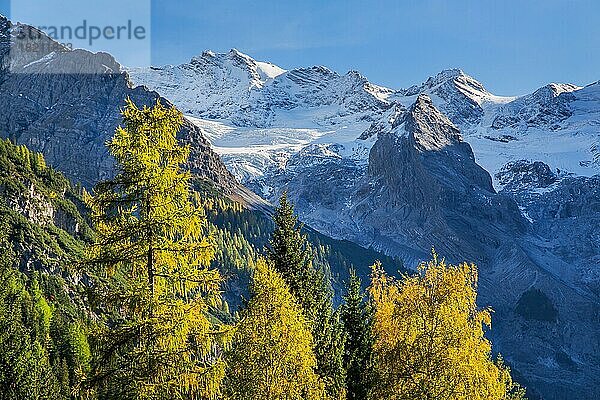 Trafoier Eiswand 3565m im Frühherbst  Trafoi  Trafoital  Ortler-Alpen  Provinz Bozen  Südtirol  Trentino-Südtirol  Norditalien  Italien  Europa