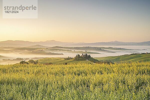 Podere Belvedere  Landgut in hügeligen Feldern  Morgenstimmung mit Frühnebel  San Quirico dOrcia  Val dOrcia  Toskana  Italien  Europa